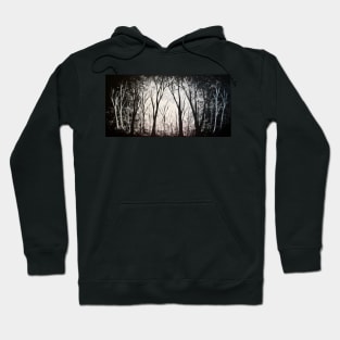 Black and White Minimal Forest Hoodie